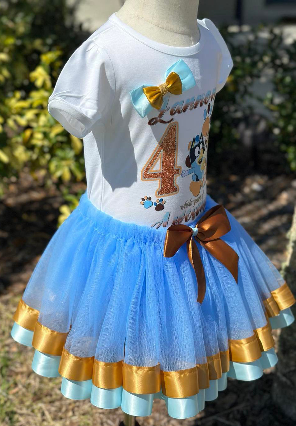 Disney princess birthday tutu on sale outfits